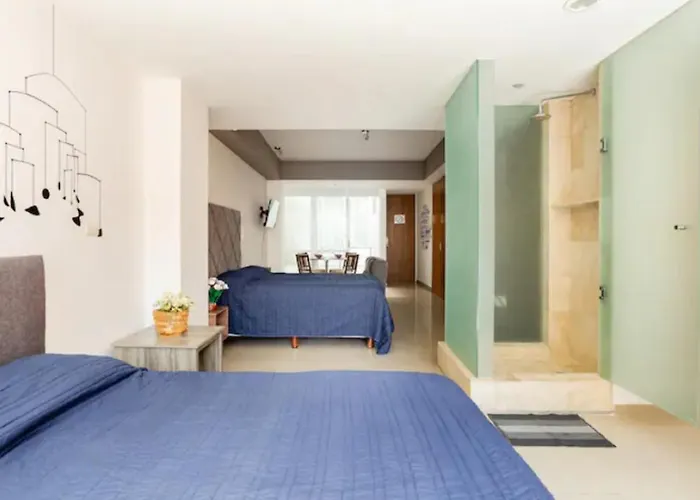 Polanco Beautiful 1parking-1br-1ba Mexico City