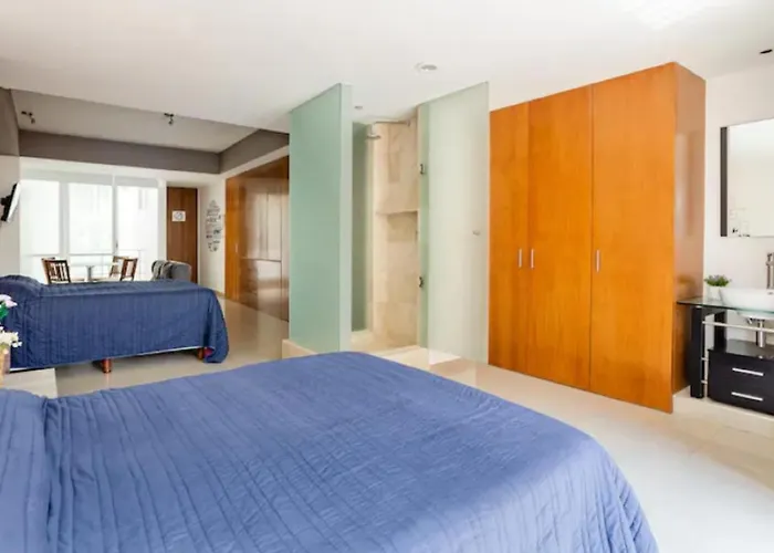 Apartment Polanco Beautiful 1parking-1br-1ba *