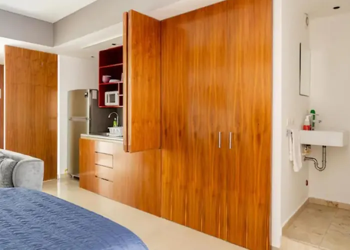 Polanco Beautiful 1parking-1br-1ba *