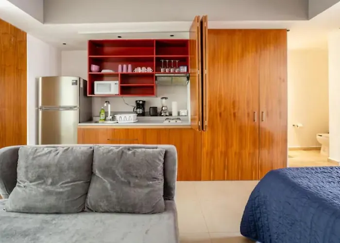Apartment Polanco Beautiful 1parking-1br-1ba